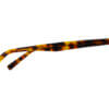 Óculos de Grau Invu M4215 Clipon