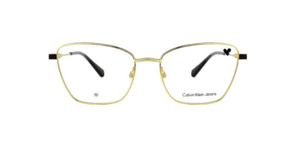 Óculos de Grau Calvin Klein CK23204